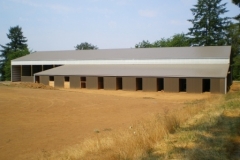 pole-building-horse-arenas-barns-72x156.2