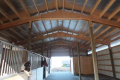 Horse Barns